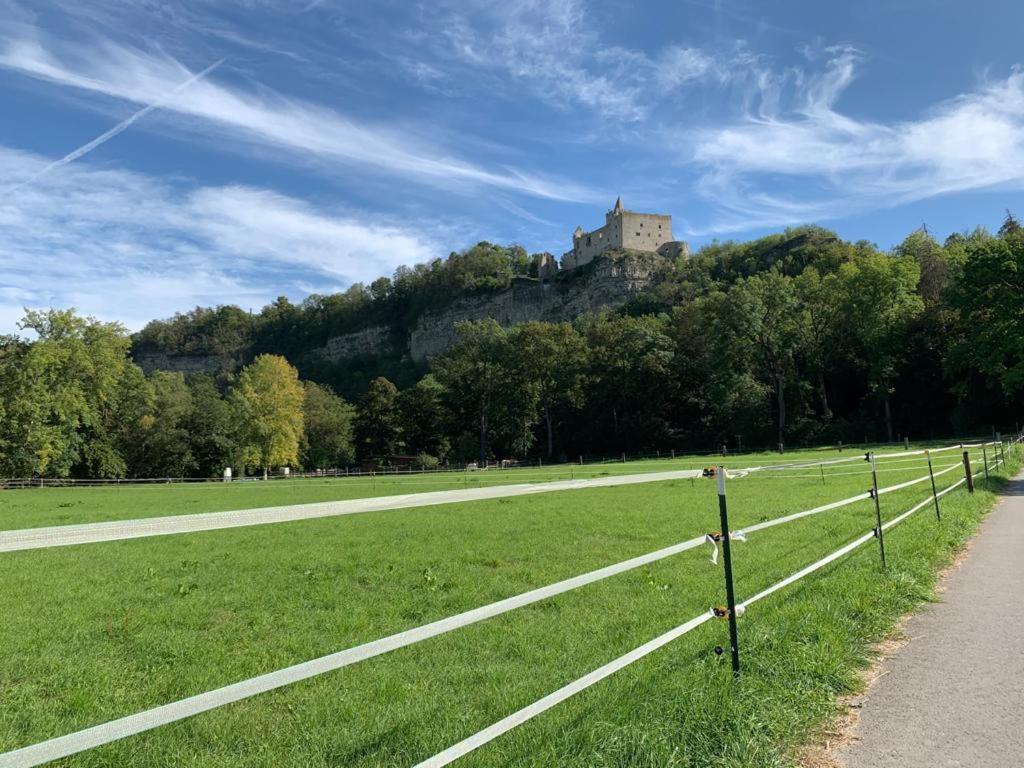 Hotel Garni Zum Rebstock Naumburg  Esterno foto