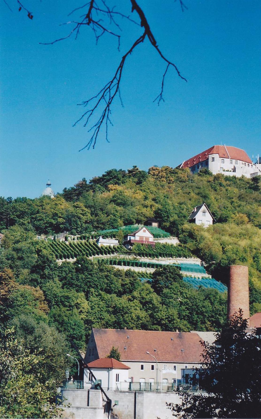 Hotel Garni Zum Rebstock Naumburg  Esterno foto
