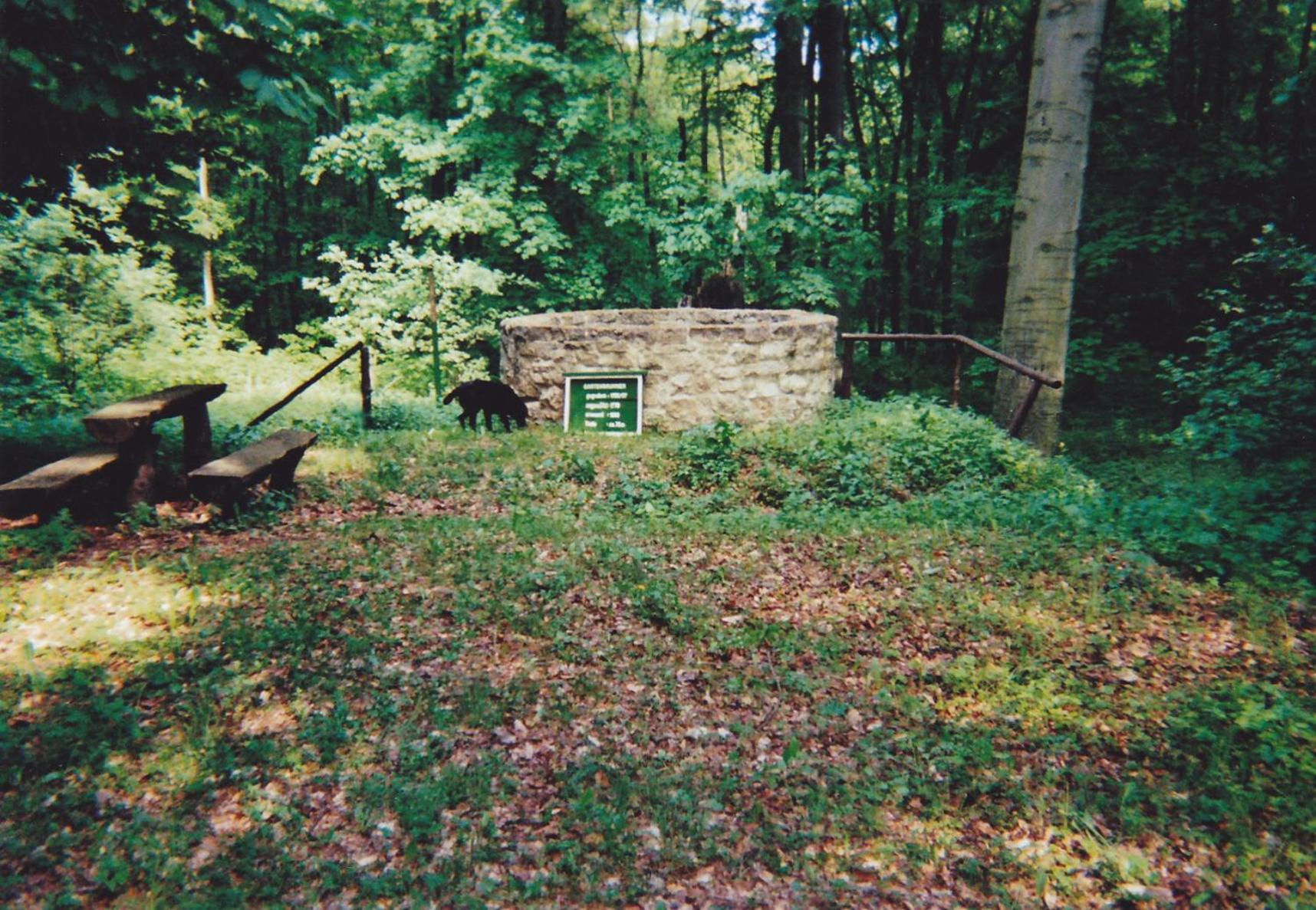 Hotel Garni Zum Rebstock Naumburg  Esterno foto