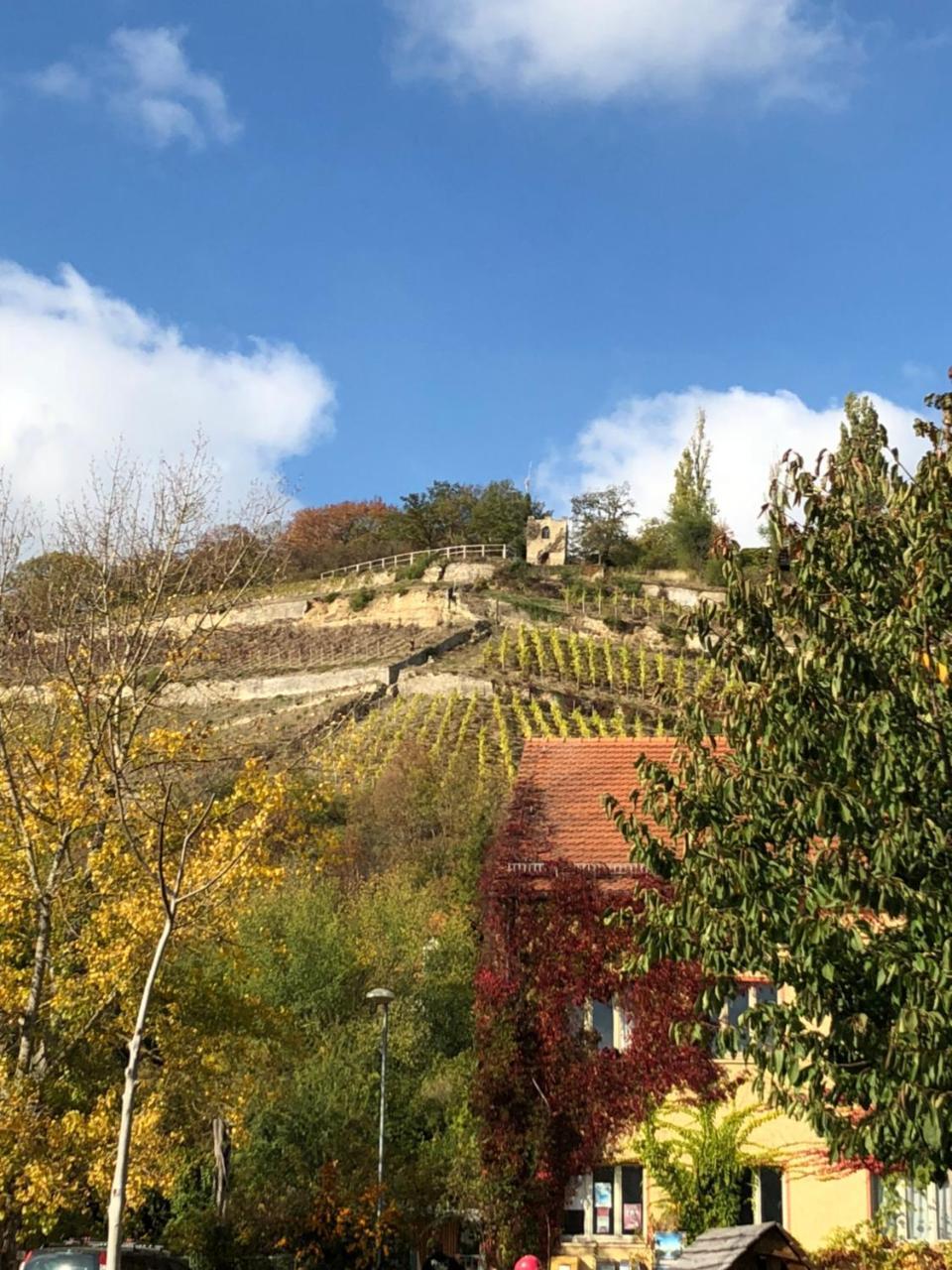 Hotel Garni Zum Rebstock Naumburg  Esterno foto